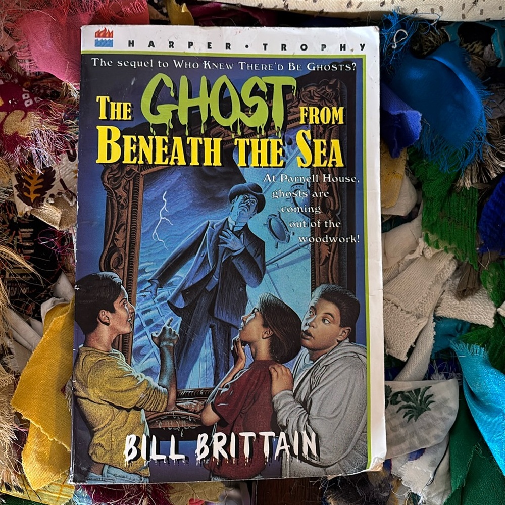 The Ghost From Beneath The Sea Book